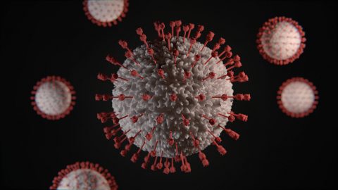 COVID-19 virus cell