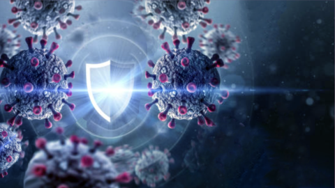 Shield and viruses